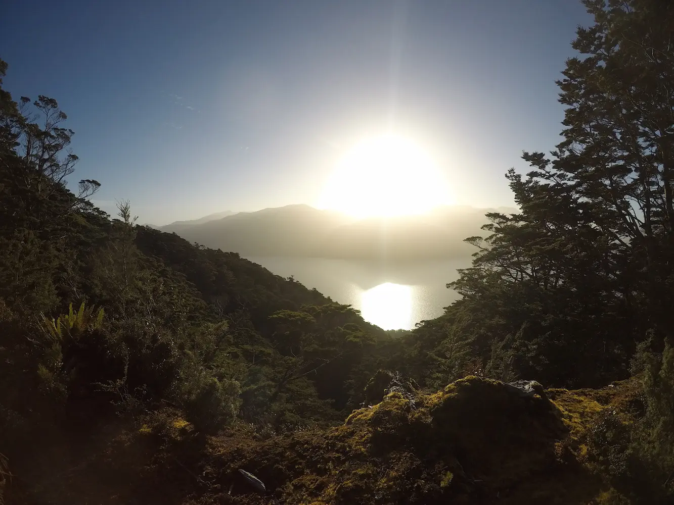 Lake Poteriteri Loop April 2022