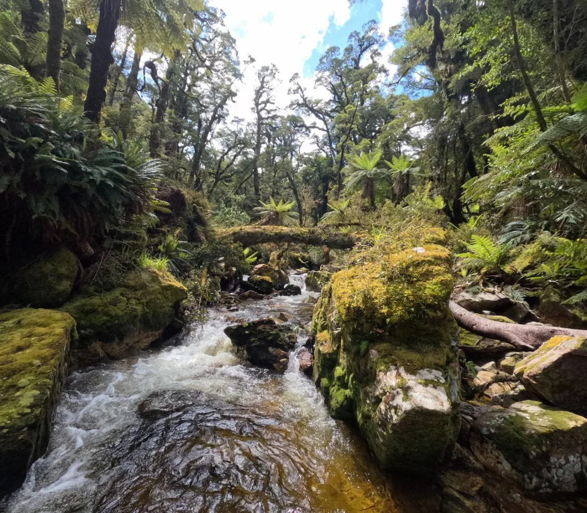 The Great Fiordland Traverse November-December 2022