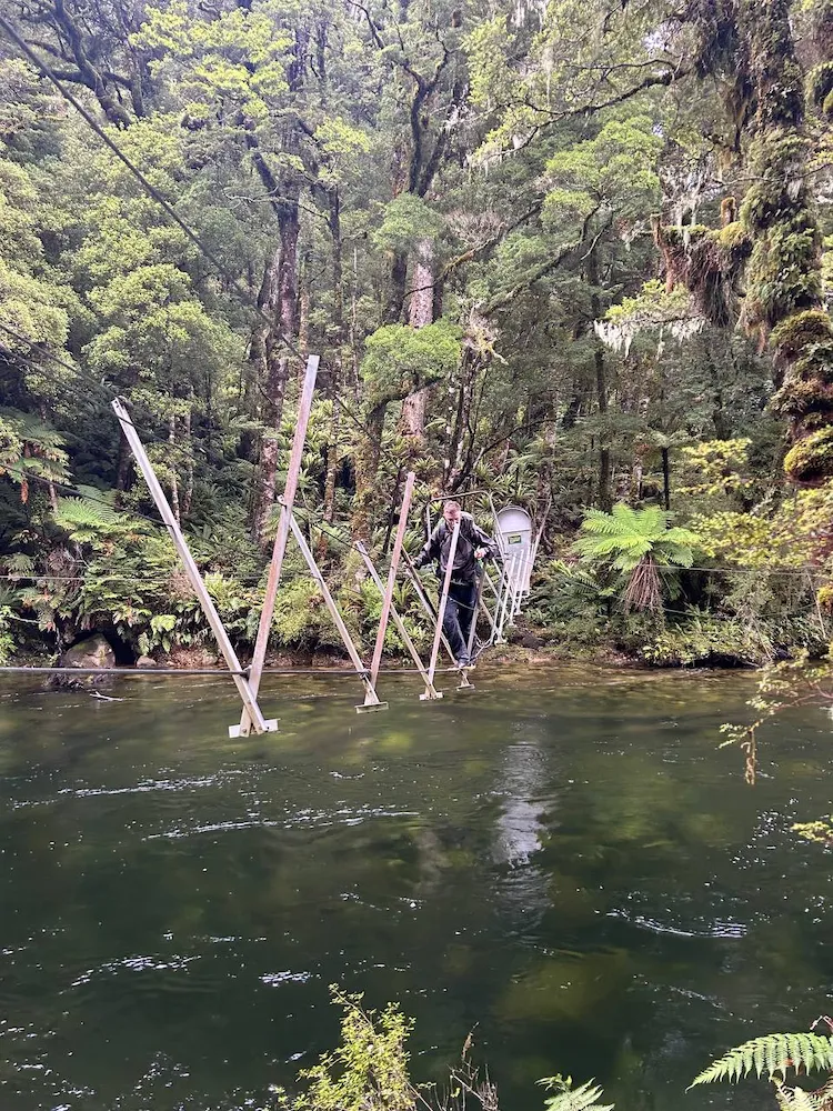 Lake Poteriteri Loop January 2024