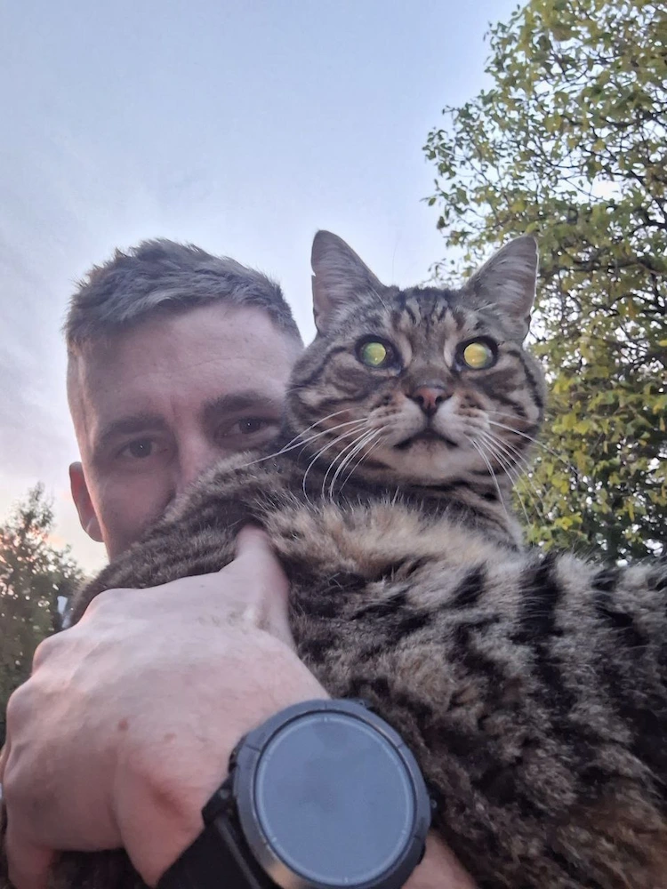 Bobby The Cat