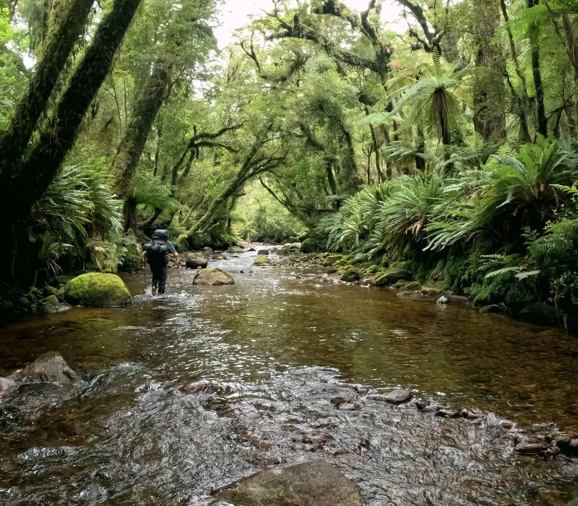 The Great Fiordland Traverse November-December 2022